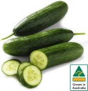 Australian-Lebanese-Cucumber Sale