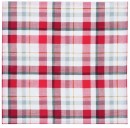 4-Pack-Plaid-Napkins Sale