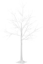 Low-Voltage-LED-Light-Up-Twig-Tree Sale