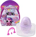 Hatchimals-Alive-Fizzy-Colour-Surprise Sale