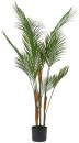 Emerald-Hill-Phoenix-Palm-Green-Potted-Plant-90cm Sale