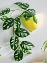 NEW-Ombre-Home-Lemon-Planter Sale