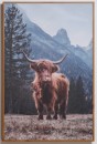 Highland-Cow-Wall-Art Sale