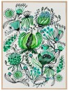 KOO-Kristen-Katz-Verde-Wall-Art Sale