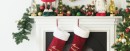 Jolly-Joy-Christmas-Festive-Stems Sale