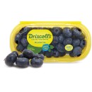 Australian-Sweetest-Batch-Premium-Blueberries-200g-Punnet Sale