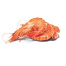 Thawed-Medium-Cooked-Australian-Tiger-Prawns Sale