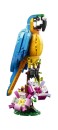 LEGO-Creator-Exotic-Parrot-31136 Sale