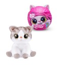 Pets-Alive-Smitten-Kitten-Assorted Sale