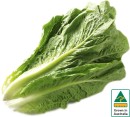 Australian-Cos-Lettuce-Twin-Pack Sale