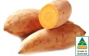 Australian-Gold-Sweet-Potatoes Sale