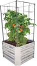 Steel-Tomato-Trellis-455x455x915cm Sale