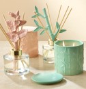 Love-Anna-x-Botanika-Inspired-Home-Fragrances Sale