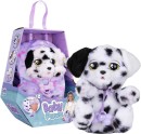 Baby-Paws-Dalmatian Sale