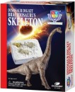 Glow-Skeleton-Dig-Kit-Brachiosaurus Sale