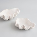 Clam-Shell-Bowl-Range-by-MUSE Sale