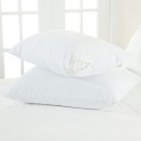 Waterproof-Pillow-Protector-by-Aller-Free Sale