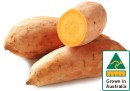 Australian-Gold-Sweet-Potatoes Sale