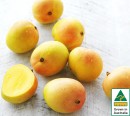 Australian-Mangoes Sale