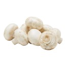 Australian-Loose-Cup-Mushrooms Sale