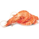 Thawed-Extra-Large-Cooked-Australian-Tiger-Prawns Sale