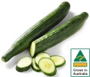 Australian-Continental-Cucumber Sale