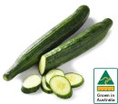 Australian-Continental-Cucumber Sale