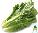 Australian-Cos-Lettuce-Twin-Pack Sale