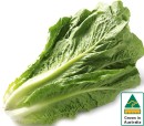 Australian-Cos-Lettuce-Twin-Pack Sale