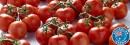 Australian-Truss-Tomatoes Sale