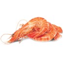 Thawed-Extra-Large-Cooked-Australian-Tiger-Prawns Sale