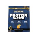 NEW-Famous-Nutrition-Protein-Water-Powder-300g Sale