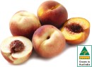 Australian-White-or-Yellow-Peaches Sale