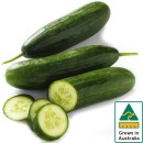 Australian-Lebanese-Cucumber Sale