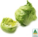 Australian-Iceberg-Lettuce Sale