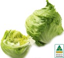 Australian-Iceberg-Lettuce Sale