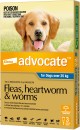 Advocate-Dog-25kg-3-Pack Sale