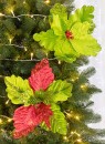 Poinsettia-Clip-Mean-Green-30cm Sale