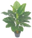 Artificial-Taro-Plant-80cm Sale