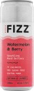 Hard-Fizz-Hard-Seltzer-Mixed-10-Pack-Cans-330mL Sale