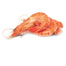 Fresh-Cooked-Australian-Tiger-Prawns Sale