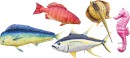 BCF-Fish-Pillows Sale