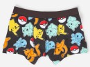 Pokemon-License-Trunks Sale