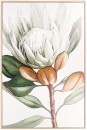 Protea-Floral-Framed-Canvas Sale