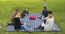 Streetwize-Mega-3m-X-3m-Picnic-Rug Sale