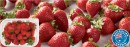 Australian-Premium-Strawberries-350g-Pack Sale