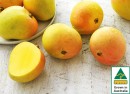 Australian-Mangoes Sale