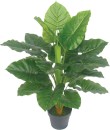 Artificial-Taro-Plant-80cm Sale