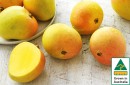 Australian-Mangoes Sale