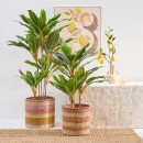 Artificial-Tropical-Cordyline-Plant-by-MUSE Sale